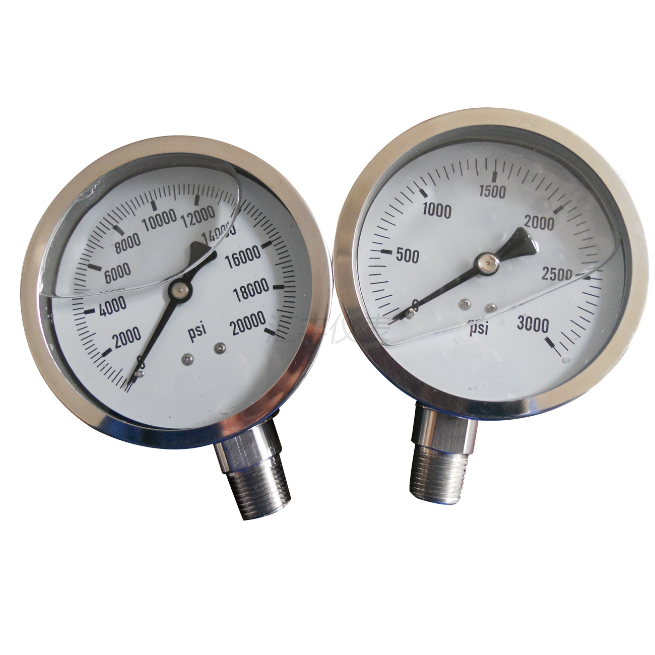 PSF-全不銹鋼充油壓力表
